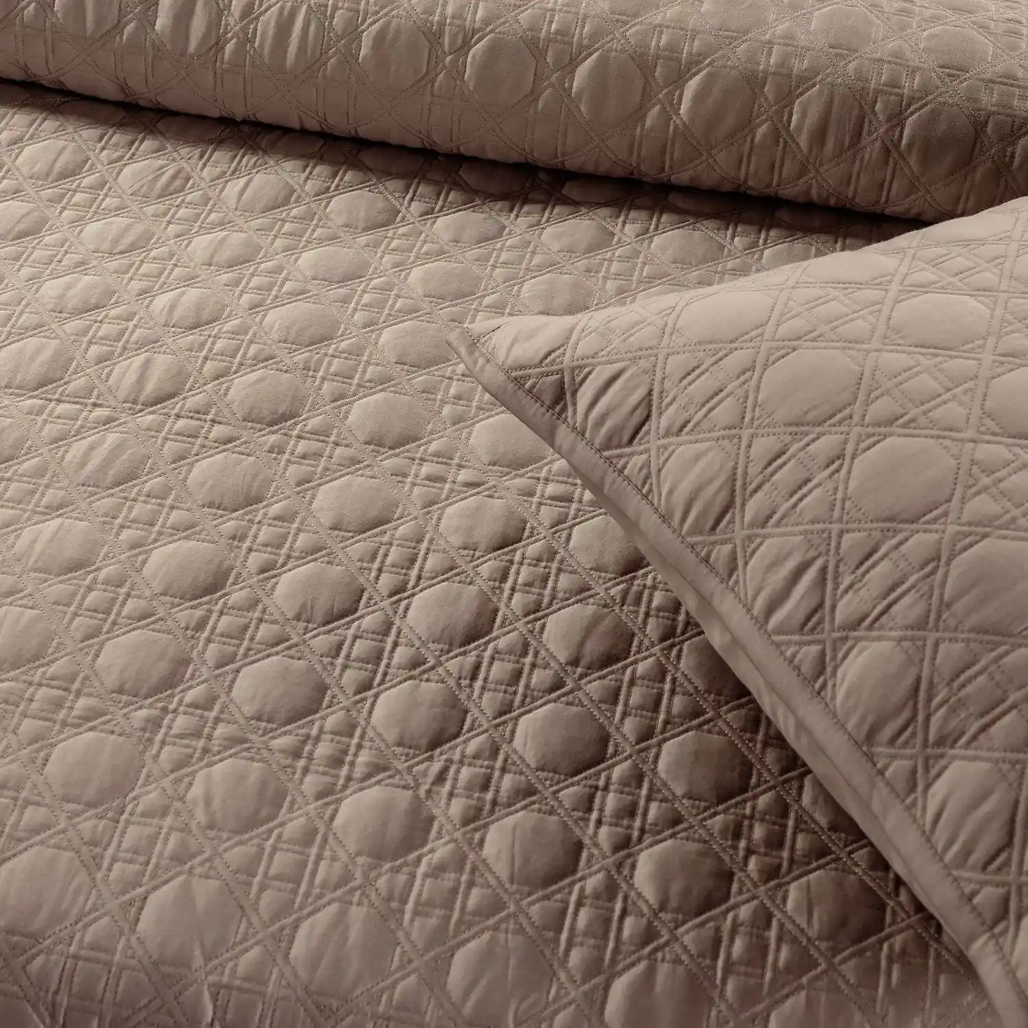 Botanic Mist Bedcover 3Pc Set | Cotton Bedcovers - Image 26