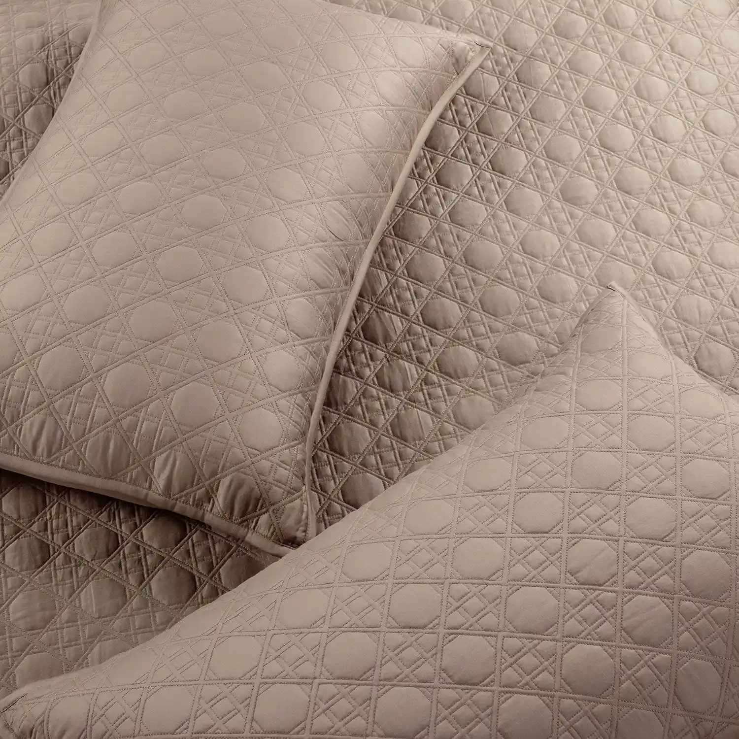 Botanic Mist Bedcover 3Pc Set | Cotton Bedcovers - Image 28