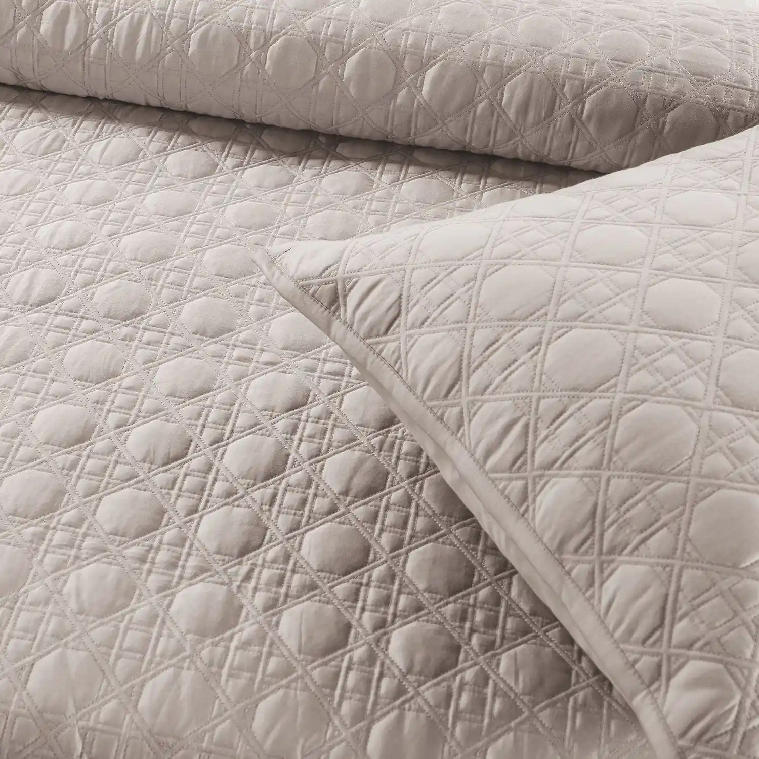 Botanic Mist Bedcover 3Pc Set | Cotton Bedcovers - Image 32