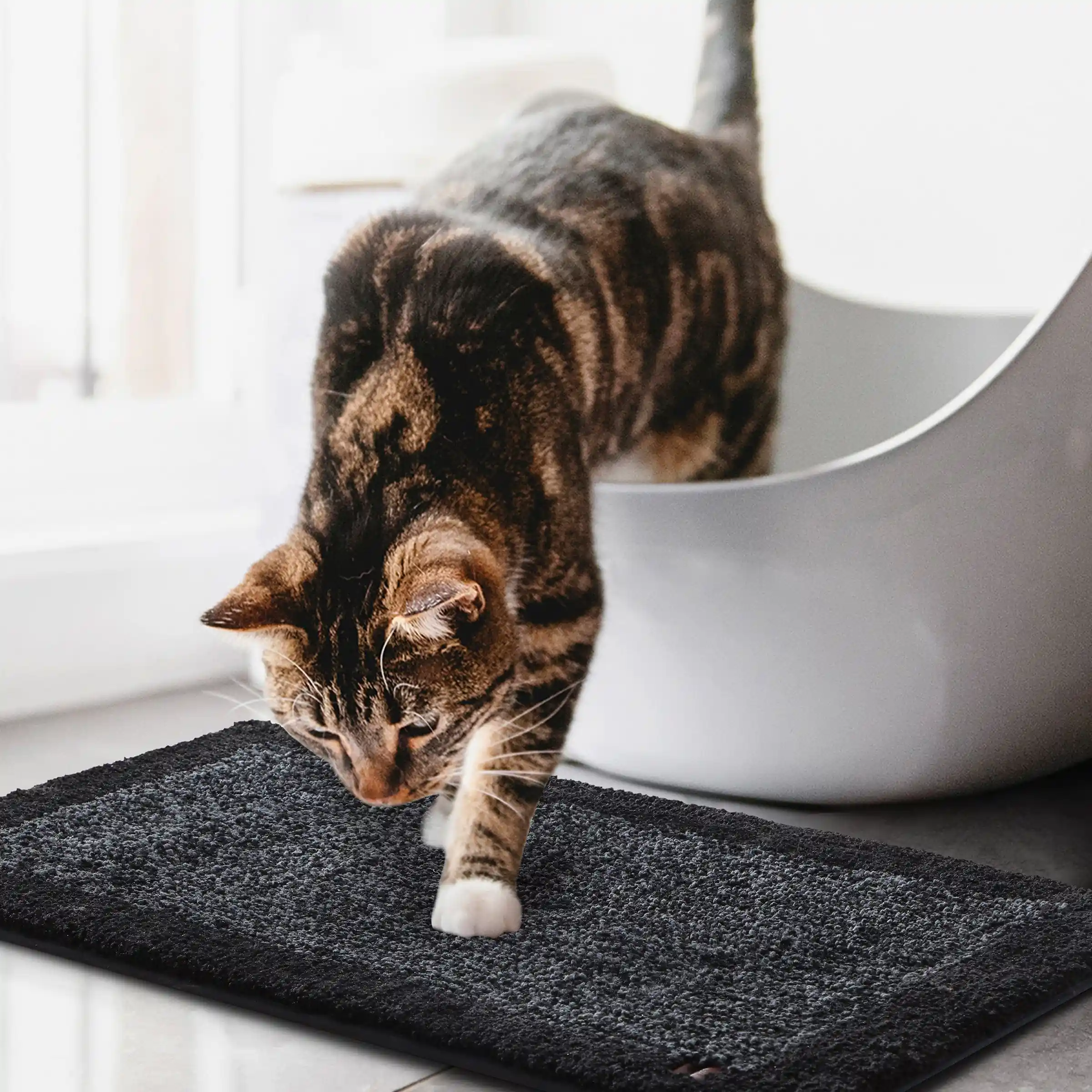 Bubble Dual Tone Mats - Thick And Plush - Image 10