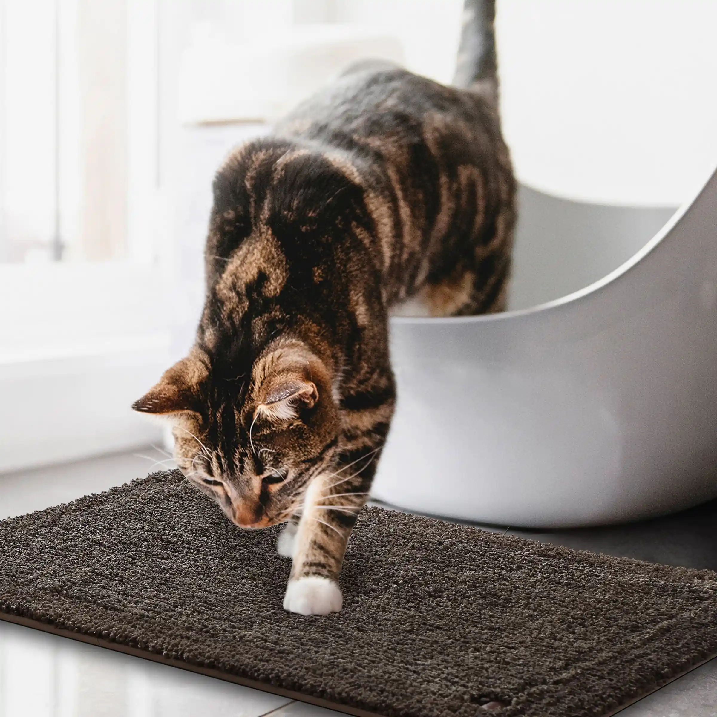 Bubble Dual Tone Mats - Thick And Plush - Image 15