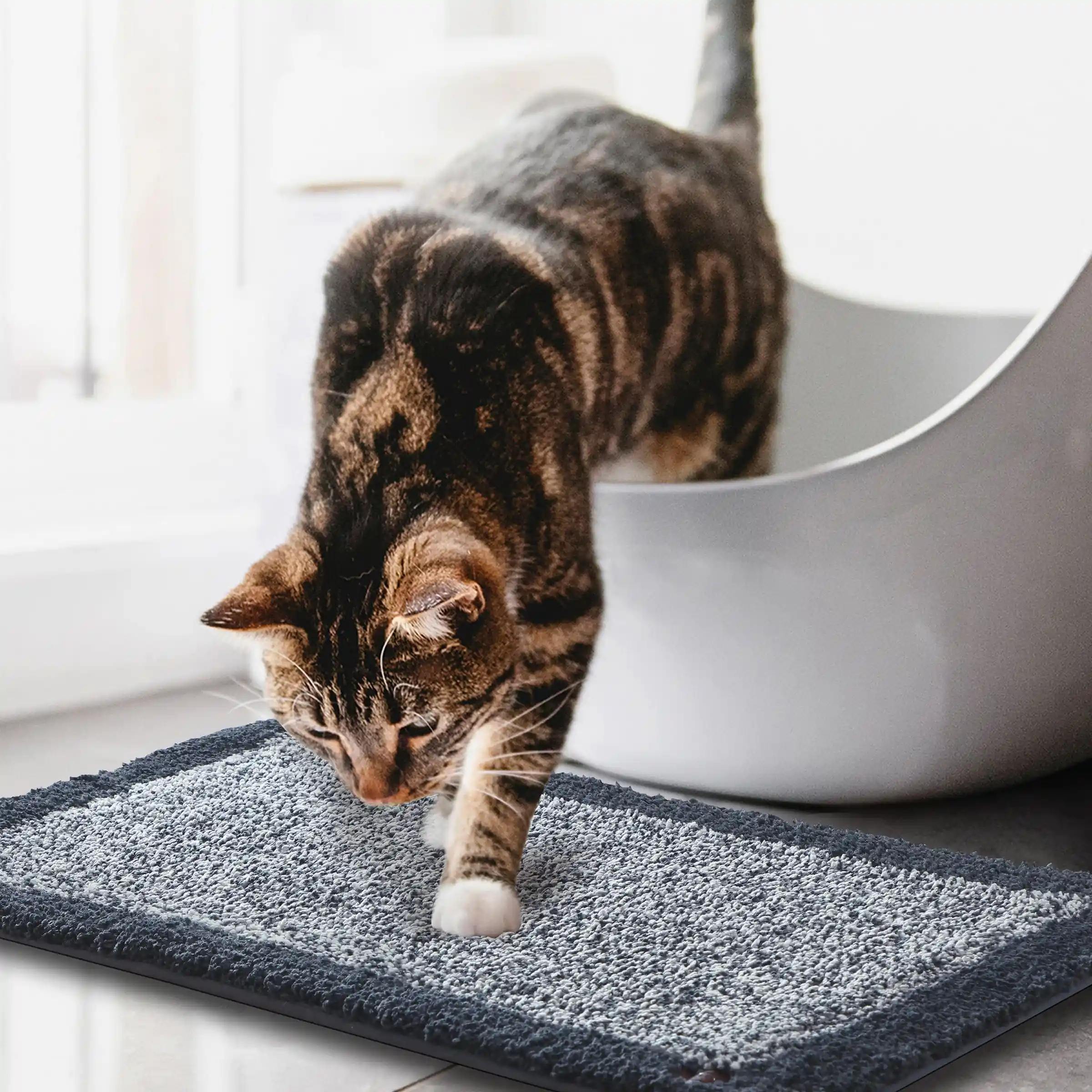 Bubble Dual Tone Mats - Thick And Plush - Image 25