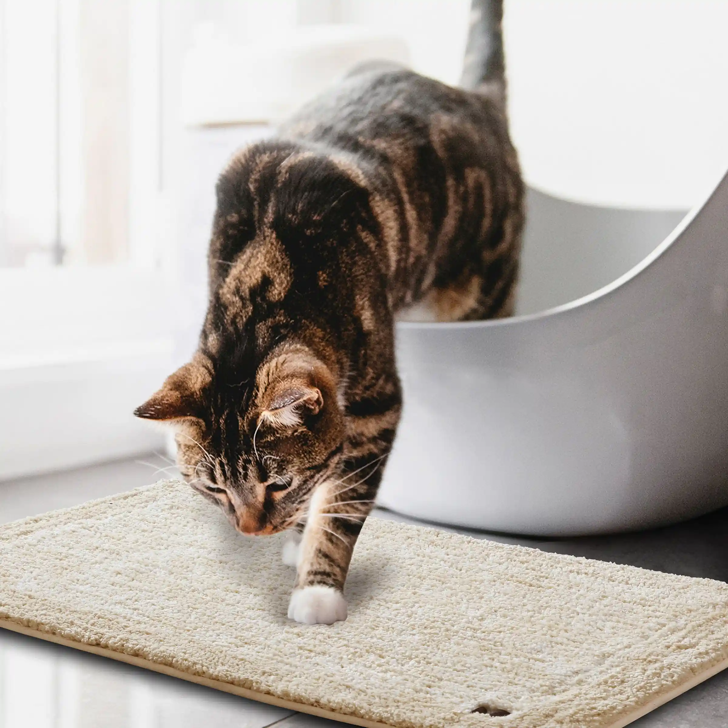 Bubble Dual Tone Mats - Thick And Plush - Image 31