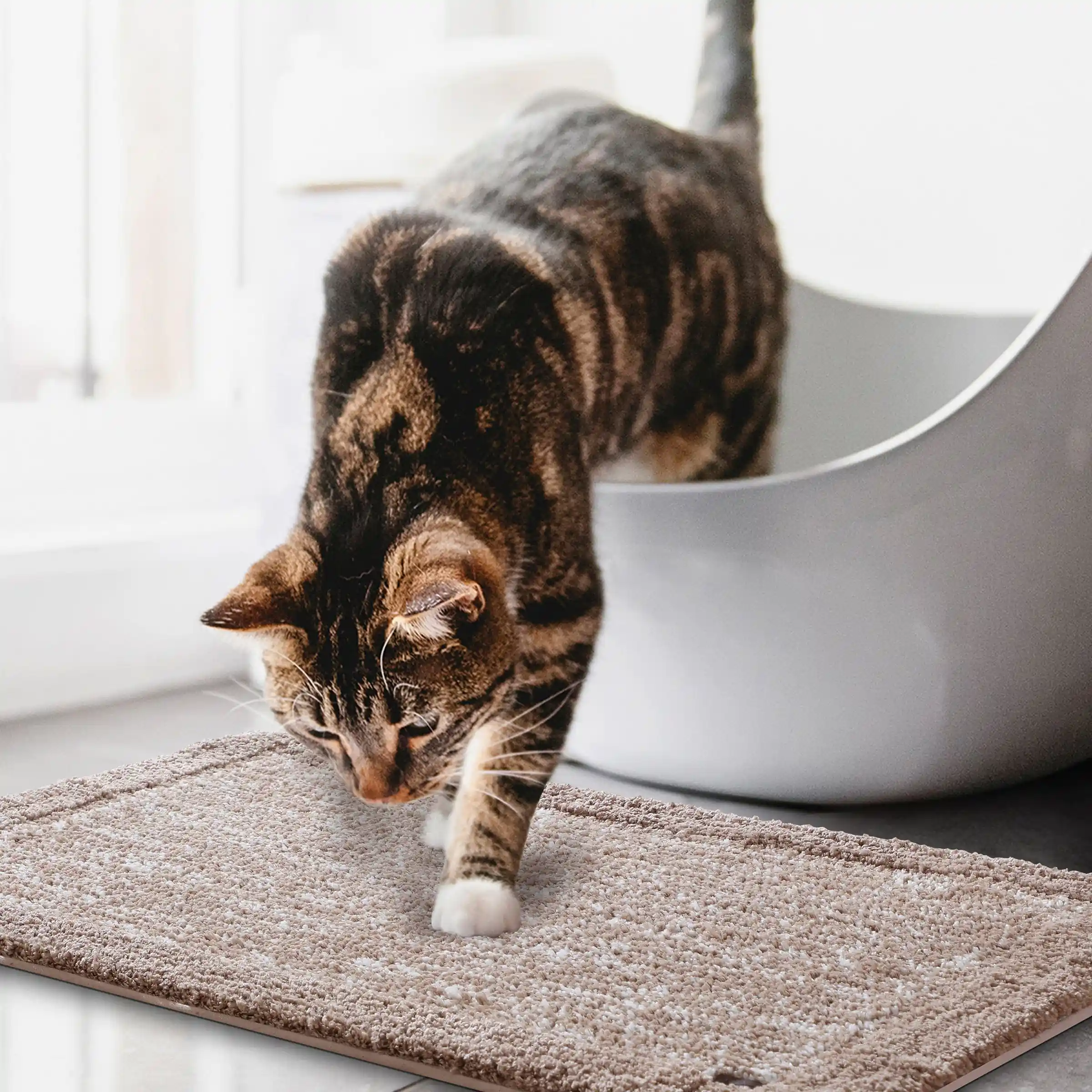 Bubble Dual Tone Mats - Thick And Plush - Image 35