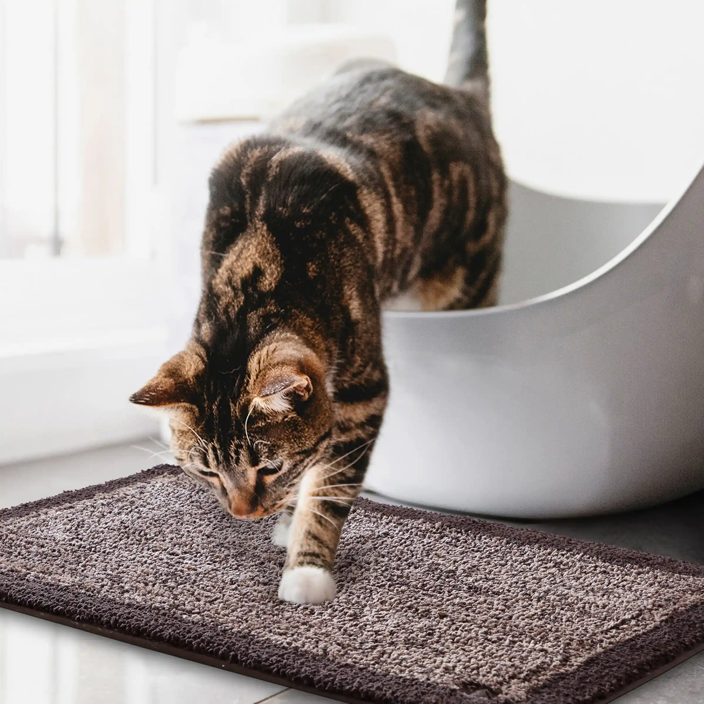 Bubble Dual Tone Mats - Thick And Plush - Image 48