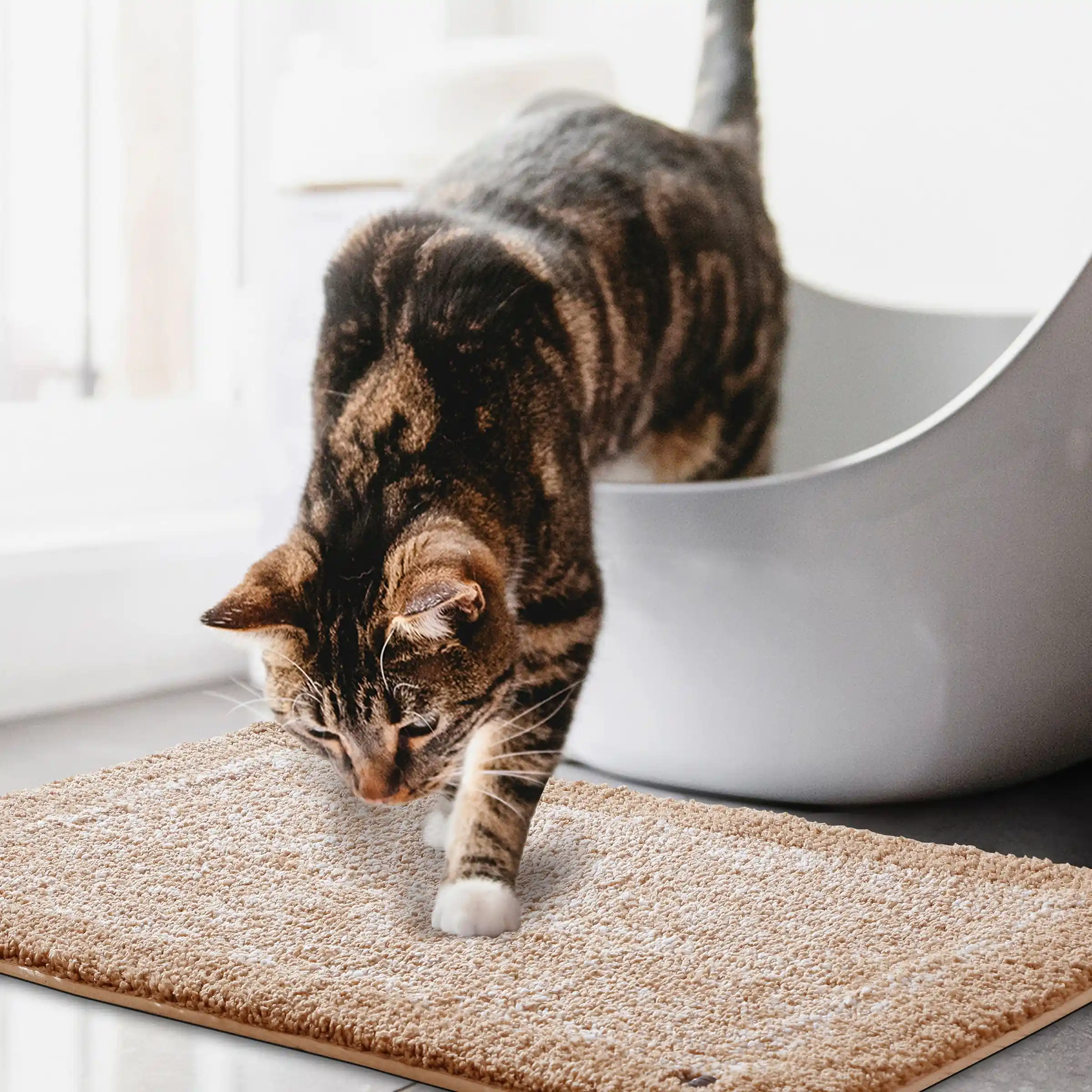 Bubble Dual Tone Mats - Thick And Plush - Image 5