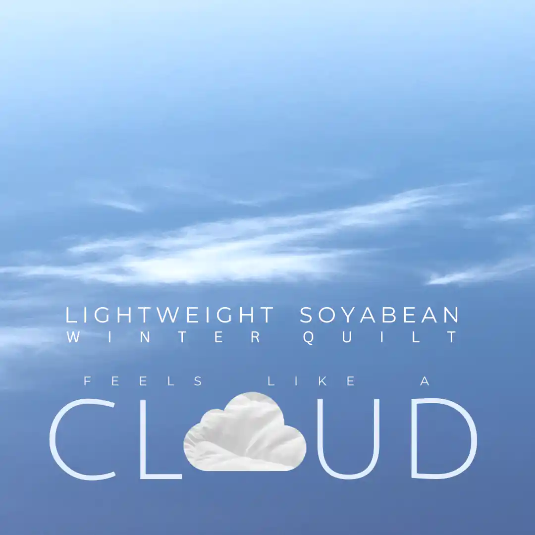 Soyabean Light weight Winter Quilt - 350GSM - Image 5