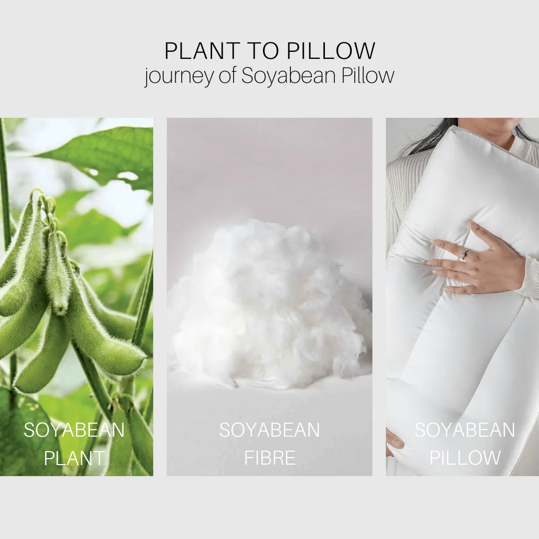 Soyabean Orthopedic Firm Pillow - Image 4
